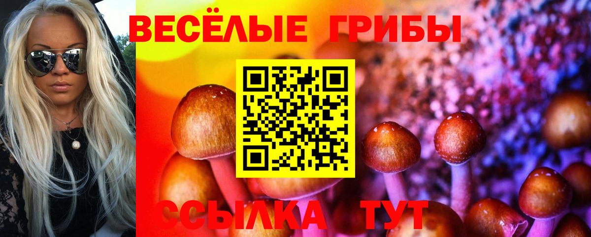 Псилоцибиновые грибы Magic Shrooms  Вход с VPN  Строитель 